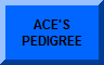 ACE'S PEDIGREE